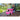 V6H5C9852139516E3CF4DC3E071EE6BD16CR4160021P5