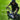 V3HAA7FF837AF6329A8080432FA954A9E4DR6820611P4