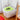 V9HCBC3CCBAF8290B600E4DD43F8E44B451R5268677P5