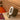 V9H494ECF04792613F5C322D6F23B74F332R5434873P5