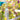 V12H520CB69B1452FF531E4144222676BF51R5277778P4