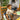 V7H89BBFCC11591FBDA30B5FFEACC258434R6459049P2