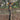 Wooden Piles Wing Chun Outdoor Park Tied Tree, Easy Carry Bundled, Fast Installation