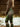 Women'S Leggings 2026 Green Forest Graphics Outdoor Trousers Polyester Spandex Stretch Elastic Waist Control Streetwear