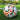 Professional Football Size5 Adult Official League Balls for Men and Women Outdoor Sports Training Thickened Team Soccer Ball