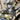 V5H49C43A6ECDA55F00C4DC3004BEAB1BDAR6459020P5