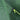 V7H70E1C789043F583693254F19D3C37DFBR6873481P5