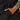 V4H2DC5417151A1F365707E185491EA7E92R5495509P4