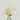 Silicone Baby Bottle Cup Brush Set with Storage Box Newborn Gift Milk Bottle Cleaning Brushes Suit Portable Detachable Cleaning