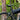 V3HB25508DBC65874209B13F3BE12EAD3C4R6466260P2