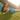 V6H197E23175F0CC9902FC300BBC3CDA3F5R4127140P3