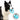 V12H001D22BEBB28642255FE50583311444FR5279743P10