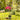 V9H1C28CA05FBC8A378169045F1C6A0791FR5278559P1