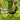 V8HFFD9A7681EC79AC76076669B5502DCC2R5269180P2