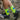 V5HAC2815EFE181C2EBA220D51327F706C1R6605176P3
