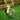 V3HC15C7D9B192F0E14F4B70E9666274691R5604450P7