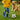 V3H62AE86C8D277FB7570869AE2D082813BR6292447P4