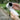 Folding High-Speed Turbo Fan Summer New Hand-Held Fan Hanging Neck Outdoor Fan Desktop Portable LED Adjustment Student Fans 2024