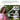 1080P HD Mini Wifi Camera Indoor Safety Security Surveillance Baby Monitor Night Vision Camcorder IP Cam Audio Video Recorder