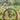 Power Bike Umrüstung Elektro Kit Mountainbike Umrüstung Elektro Booster 48V Batterie Vorantrieb