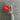 32*9.25Inch Professional Adult Skateboard Longboard Dance Board Girl Brush Street Maple Road Speed down Surf Double Warp Board