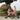 Standing Half-Bike, Healthy Sports Bike, Standing Bicycle, Half-Bike, Creative Tricycle