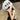Dinosaur Skeleton Cosplay Costume Set Dress up Clothing Plush Toys Party Cosplay Toy Kid Adult Dress-Up Creative Funy Gifts
