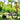 Standing Half-Bike, Healthy Sports Bike, Standing Bicycle, Half-Bike, Creative Tricycle
