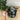 Kitchen Electric Multicooker Stir-Fry Cooking Pots Automatic Cooker Electric Pot Soup Steam Cooker Arrocera Electrica
