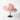 New British 100% Wool Fedoras Hat Women Retro Jazz Top Bow Felt Hat Men Big Size Edge Brim Celebrity Hat Premium Quality Panama