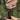 19 in 1 Powerlitre Folding Pliers Knife EDC Mini Multi-Tools Pocket Scissor Portable Outdoor Survival Multitools PL1001-CP