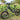 Kids Electric Bike 750W 36V Battery Fat Tire Multi Colors Children'S Electric Bicycle