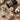 6/12 Rolls of Camouflage Self-Adhesive Tape, Non-Woven Cohesive Bandage Wraps, Pet Bandages, Camouflage Camouflage Tape