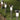 V5HBBE041EB324B23305906645334537CB6R3575862P3