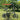 Folding Bicycle 12/14Inch Gift Variable Speed Student Bicycle Men'S and Women'S Ultra-Light Small Pedals Folding Bike