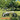 Folding Bicycle 12/14Inch Gift Variable Speed Student Bicycle Men'S and Women'S Ultra-Light Small Pedals Folding Bike