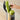Large Caliber Juicer Household Low-Speed Juicer Multifunctional Fruit Vegetable Screw Slow Juicer Commercial Electric Juicer