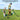 Professional MD910 Metal Detector 9.8 Inch Waterproof Search Coil Underground Treasure Gold Finder Pinpointer for Detecting