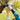 V12H700192418993BE52C59DD28CFA2F89D3R5435009P10
