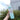 700Ml Water Bottle for Girls Outdoor Sport Fitness Water Cup Large Capacity Spray Bottle BPA Free Drinkware Travel Bottles