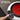 Multifunctional Electric Ceramic Cooker Mini Electric Hot Plate Heater Stove 1500W Touch Button Tea Stove
