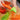 Vegetable Fruit Spiral Shredder Peeler Multi-Function Manual Shredder Device Potato Carrot Rotating Shredder Grater Kitchen Tool