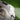 V6H92FED286C4A7F6A87AA91694C9CD0D4BR5279934P2